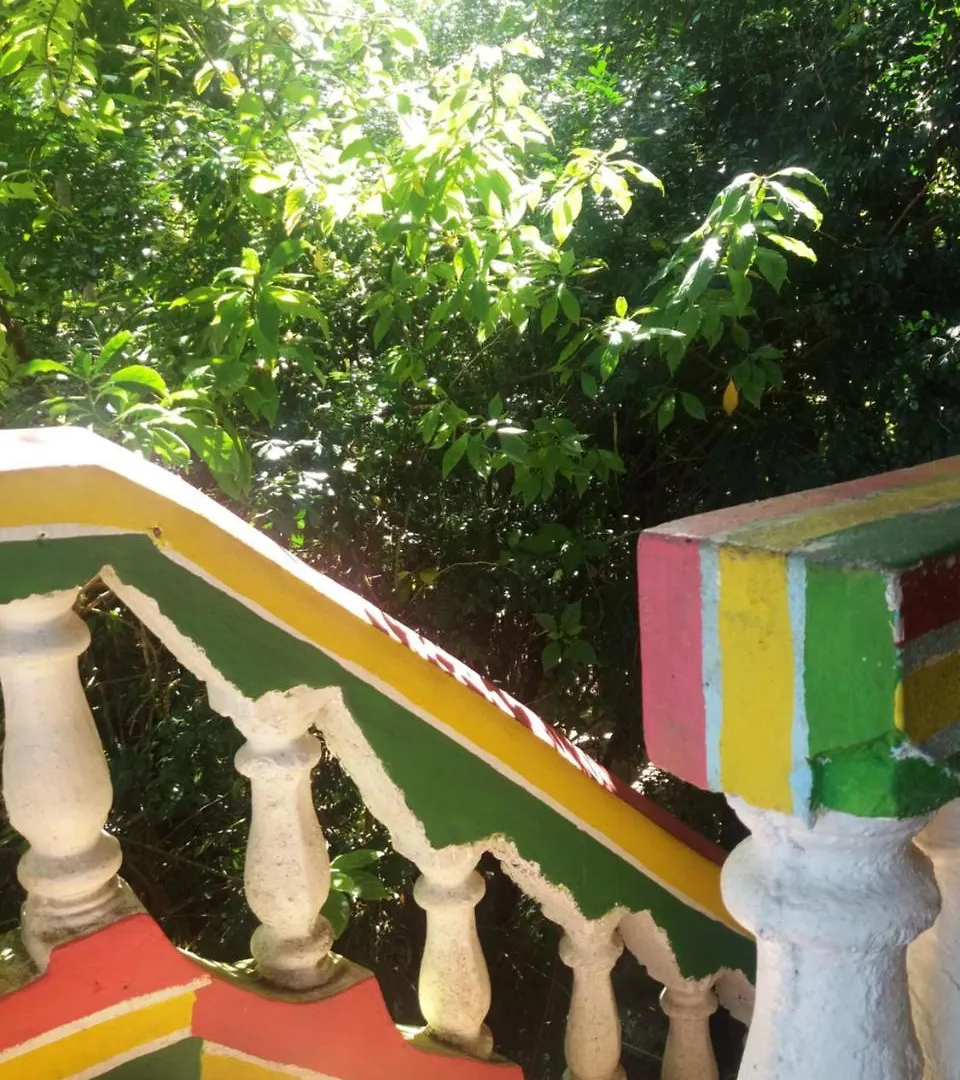 نزل بورت أنطونيوفي Jungle In Town جامايكا