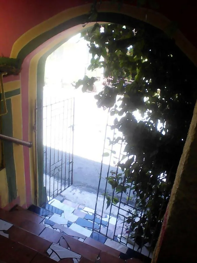 نزل بورت أنطونيوفي Jungle In Town بيت شباب