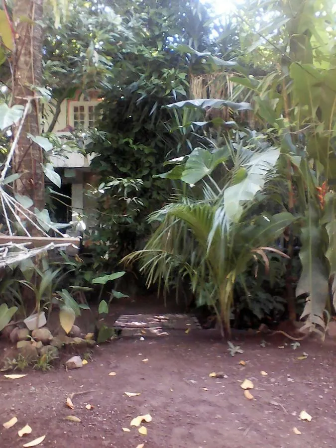 بيت شباب نزل بورت أنطونيوفي Jungle In Town